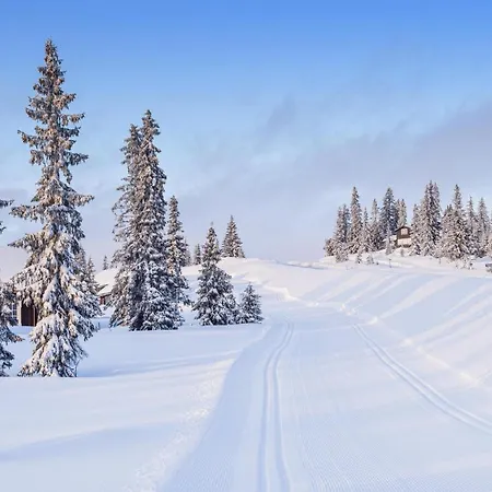 Awesome In W/ Sauna, Wifi And 4 Bedrooms Sjusjoen
